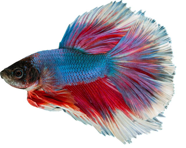 close-up of rich compost and soil structure with plant roots